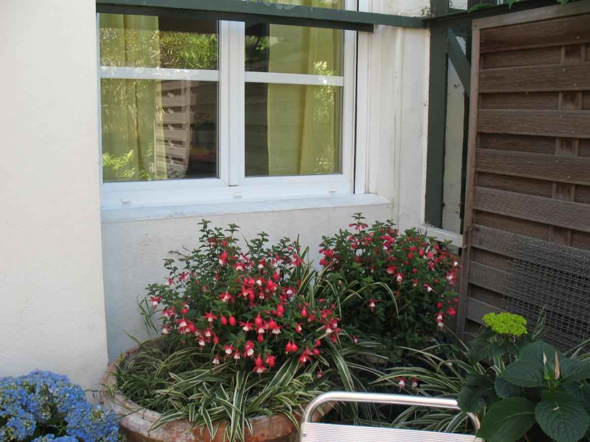 Studio Du Lac Apartment Cannes Exterior photo